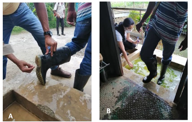 Toma de muestra de calzado y pediluvio